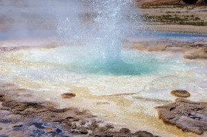 总结文章“摇钱树拼三张有没有挂”(真的有挂)