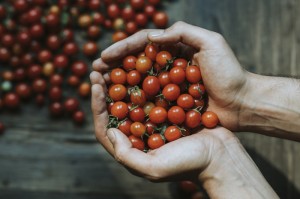 疫情病毒属于什么病毒:疫情病毒属于什么病毒类型