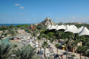 最新消息.“新玉海楼茶苑到底有没有挂”其实真的能开挂