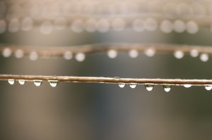 终于出现"“十三水竟然有挂”详细教程