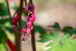 盘点十款“微乐江西麻将有挂吗？”必赢神器安装