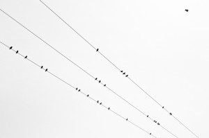 疫情时间线梳理（疫情时间线梳理图）