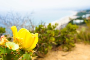 分享实测“新甘孜牛牛到底是不是有透视挂”(确实有挂)