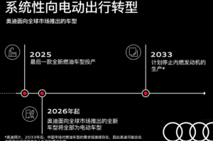 2037年疫情/2033年疫情