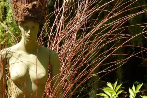 贵州疫情最新消息，风险等级动态调整，科学防控保民生