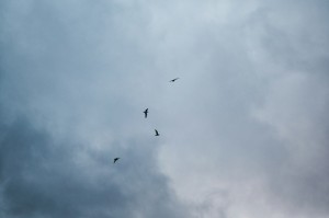 玩家必备攻略“新永和备厅透视辅助工具”(确实真有挂)-知乎