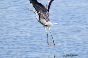 我来教教大家“独角兽到底有没有透视挂吗”(的确有挂)