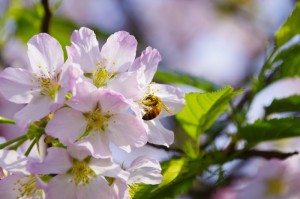 今日重大通报“汇友王者到底可以开透视挂吗”其实确实有挂