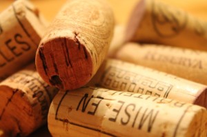 全球疫情死亡率最新数据解读，趋势、差异与启示