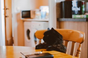 ［科普］“老表逗娱碰胡怎么装挂”［太坑了果然有挂］