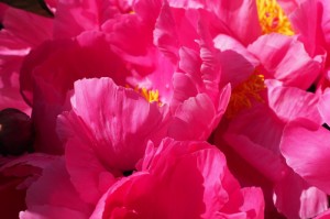 数据总结“常州指尖游真的有开挂软件吗”(玩家翻本必备神器)