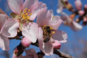 玩家攻略科普“花花生活圈真的有挂吗”［原来真的有挂］
