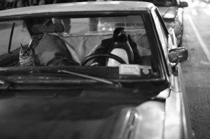 独家发现“飞驰娱乐有没有挂”［太坑了原来有挂］