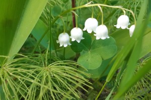 [解答]“决战卡五星到底有没有挂”原来可以开挂