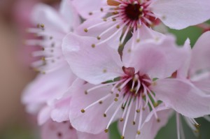 瑞丽疫情几天结束/瑞丽疫情几天结束啊