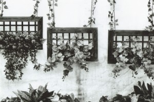 [分享]“锦绣山河有挂吗”原来可以开挂