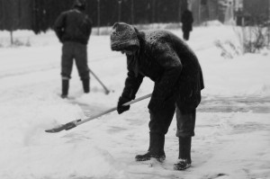 【疫情在几几年爆发的,疫情在几几年爆发的呢】