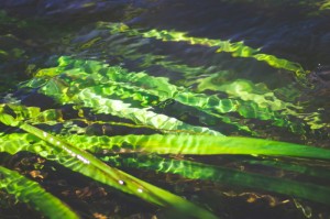 重大通报“新版人皇大厅如何安装透视挂”详细分享开挂步骤