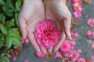 [推荐]“威信茶楼有挂吗”(确实真的有挂)