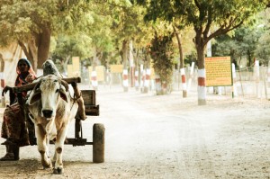 ［科普］“新道游牛牛开挂器”［原来真的有挂］