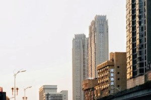 2024年8月全球疫情最新观察，病毒演化进入新阶段，防控策略面临适应性调整