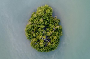 [解答]“乐清虫草花真的有挂吗”(确实真的有挂)