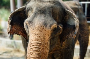 ［今日要闻］“攒劲甘肃麻将到底是不是挂”［原来真的有挂］