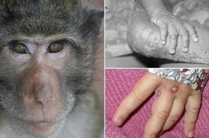 疫情什么时候开放的准确时间查询:疫情什么时候开放的准确时间查询北京