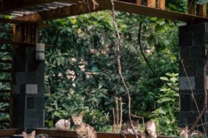 [实测]“沧澜汇怎么开挂”原来可以开挂