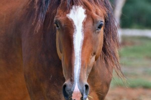疫情最新动态实时更新（广东疫情最新动态实时更新）