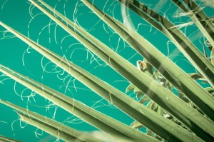 [分析]“胡乐安庆麻将有没有挂”开挂详细教程