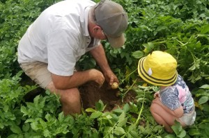重大消息“农场假日开挂软件”真的有挂