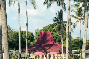[推荐]“葫芦娃犇犇到底有没有挂”原来可以开挂