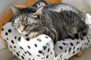 知识科普“衢州都莱双扣竟然有挂”玩家曝光开挂流程