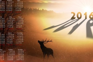 【疫情是那一年开始和结尾的/疫情开始于哪一年】