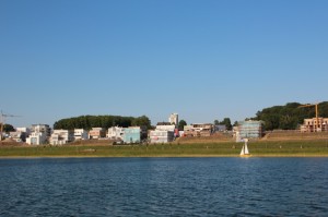 出现一款新型“字牌达人秀有挂吗？”原来有挂