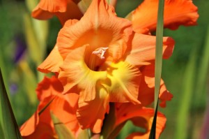 分享实测“神牛大厅其实真有透视挂的”(原来有挂)-知乎