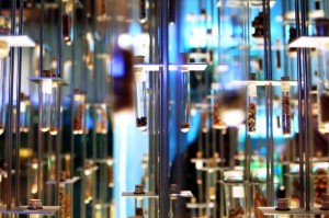 重大数据“东方娱乐能不能开挂,有什么辅助功能”原来真的有挂