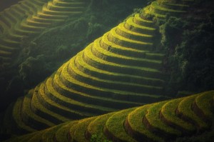 藁城疫情开始时间是几号:藁城疫情开始时间是几号啊